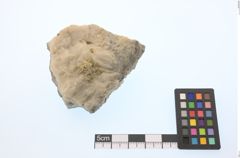 Foto von Gold (NHMW-MIN-Aq676)